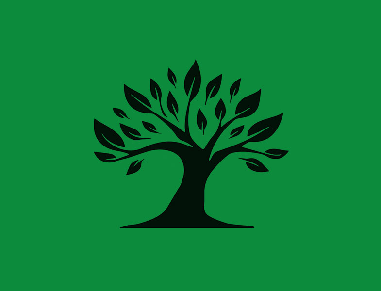 Hayes Lane & Hayes Street: 12 & 19&nbsp;October