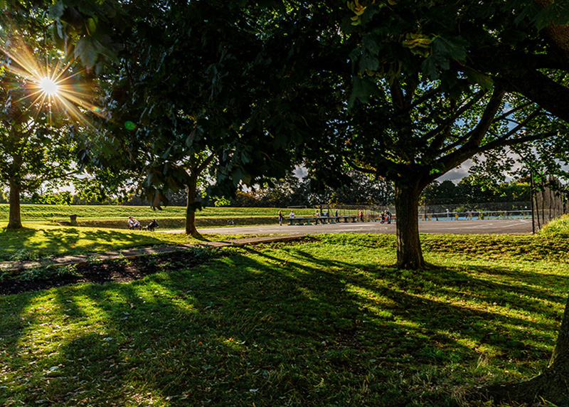 A photograph of the park with the sun shining through the trees.

