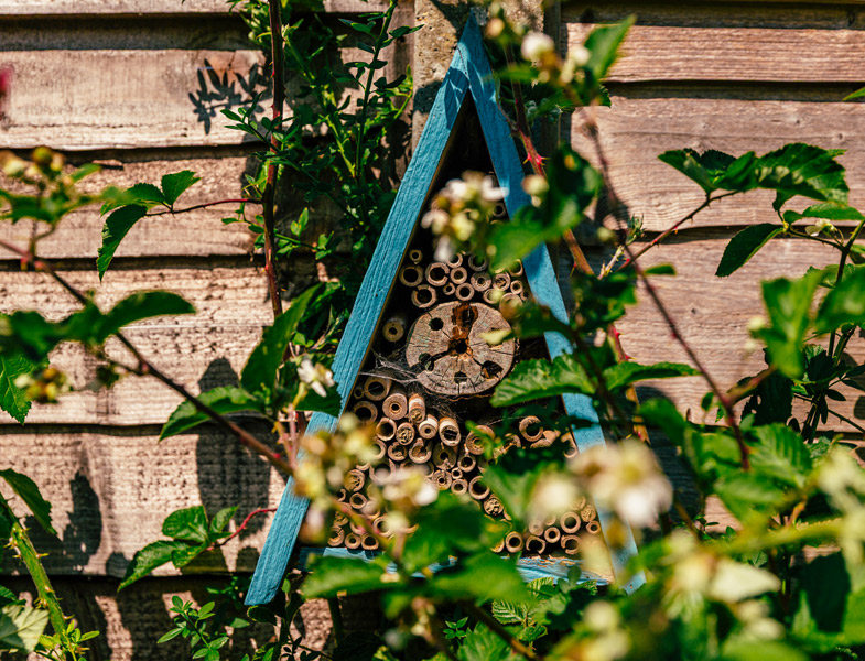 A bug hotel - pollinators can stay for free!