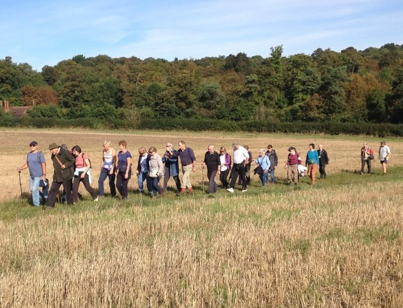 Walking for fun, fitness and&nbsp;friends