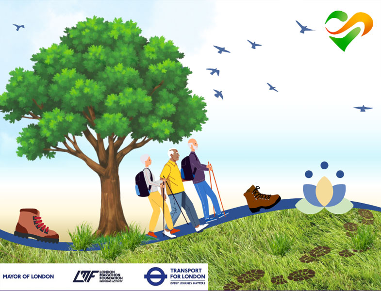 Guided woodland walks